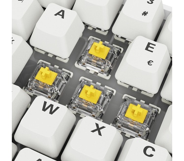 Sharkoon SKILLER SGK50 S4 Gen2 PBT, Azerty BE, Wit