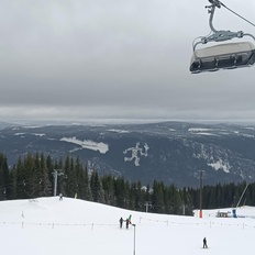 Afbeeldingslocatie: https://tweakers.net/i/3V7kD9cezH32ZbfIjuAVO1Damlk=/232x232/filters:strip_icc():strip_exif()/f/image/oTLCHa55S9kZnrrdq7AFCfK7.jpg?f=fotoalbum_tile