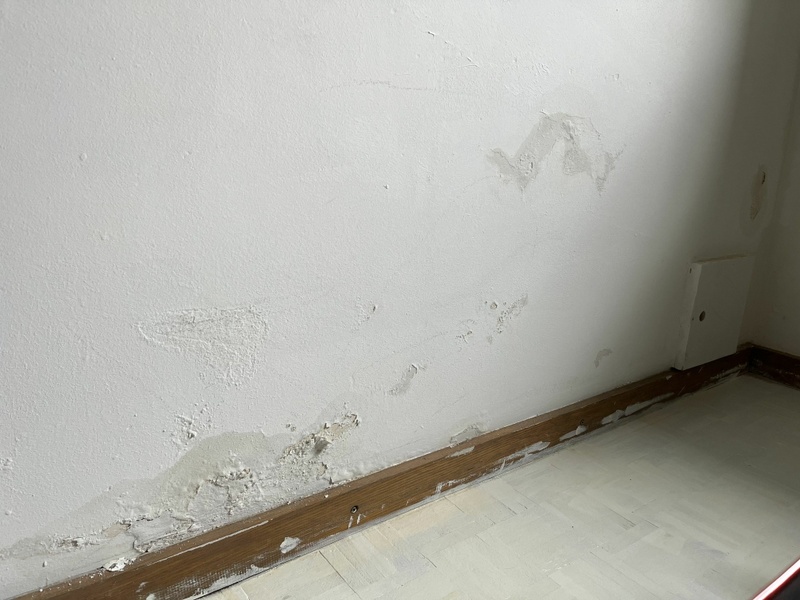 Afbeeldingslocatie: https://tweakers.net/i/3W59uriDXxxPvDWTSh-RSuz8oPs=/800x/filters:strip_icc():strip_exif()/f/image/2HLMllAKmQDUZUHJuQVl2Ouj.jpg?f=fotoalbum_large