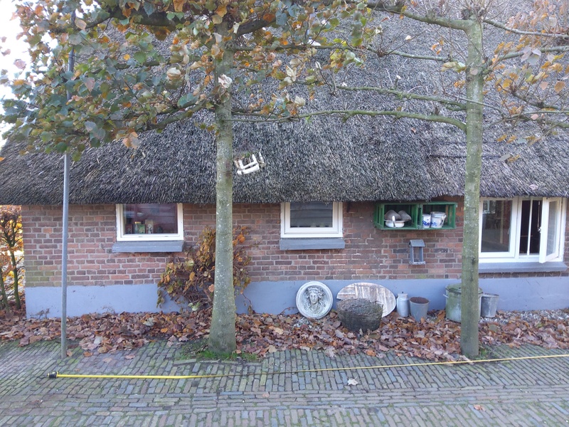 Afbeeldingslocatie: https://tweakers.net/i/3_Yj6zS1s_XVWQ03CX_Qx8pXl0w=/800x/filters:strip_icc():strip_exif()/f/image/obxBwct9BZUBiwPVgrbD0ZWy.jpg?f=fotoalbum_large
