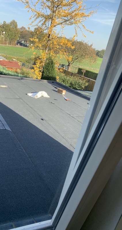 Afbeeldingslocatie: https://tweakers.net/i/3_sn5uBsLWe1fUhxi1s01DvrgAw=/x800/filters:strip_icc():strip_exif()/f/image/l9ICwXXnulgJbhQFRV9XPKqr.jpg?f=fotoalbum_large