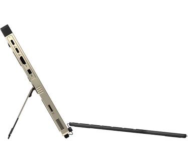 ASUS GZ302EAC-RU178W