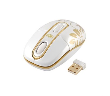G-Cube Golden Sunrise (G4A-10SR)