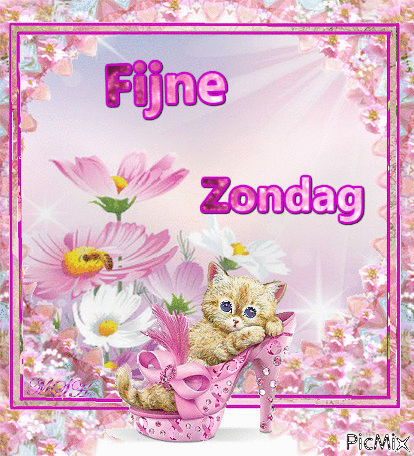 Afbeeldingslocatie: https://tweakers.net/i/3e1Gyu5M5jJZ5Qw5mmBhHxu_rb4=/fit-in/4000x4000/filters:no_upscale():gifsicle():strip_exif()/f/image/5WSSaBIeEcPrsopPU4zRPykt.gif?f=user_large
