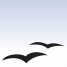 IBM doneert Lotus Symphony aan OpenOffice.org