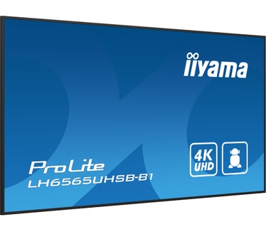 Iiyama ProLite