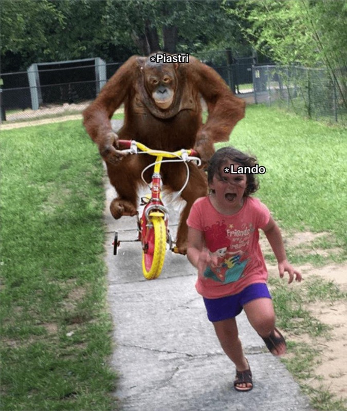 Afbeeldingslocatie: https://tweakers.net/i/3hMKfAWgVdyuL3Kl109XL2w684E=/x800/filters:strip_icc():strip_exif()/f/image/bC49oiqAjXOV4GeGzBIigVfa.jpg?f=fotoalbum_large