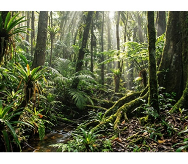 HP OmniBook Ultra Laptop Next Gen AI 14-kg0698nd