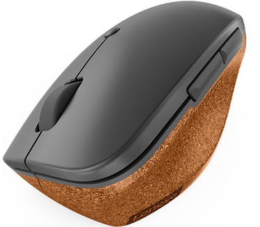 Lenovo Go