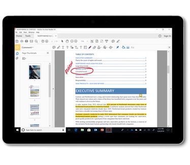 Microsoft Surface Go + KCN-00005 + EYV-00010