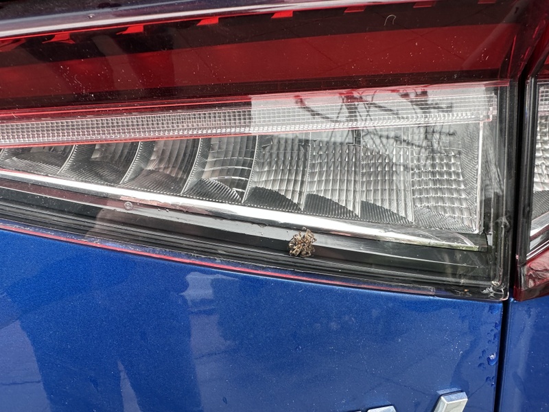 Afbeeldingslocatie: https://tweakers.net/i/3osQnQZM1fHhfW_KO6_TbyrVNMI=/800x/filters:strip_icc():strip_exif()/f/image/4SVvRvNjGZr41XKjd49CDwQL.jpg?f=fotoalbum_large