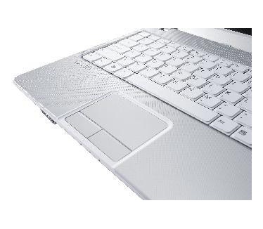Sony Vaio C2S/W