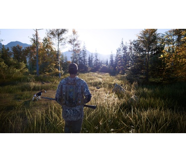 Hunting Simulator 2, Switch