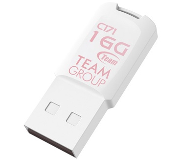 Team Group C171 16GB Wit