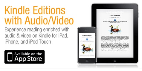 Amazon Kindle-app iPad audio video