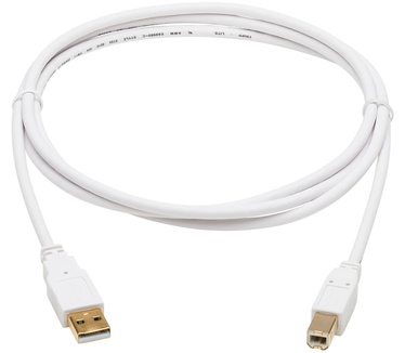 Tripp-Lite U022AB-006-WH