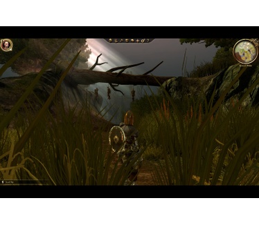 Dragon Age: Origins