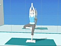 Wii Fit - screenshot