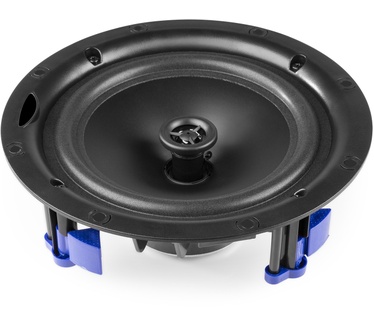 Power Dynamics NCBT6 (Wit)