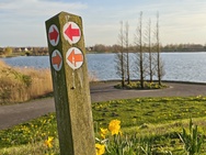 Xiaomi 17 Cameratest - Twee keer zoom