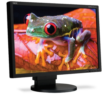 NEC MultiSync EA221WMe Zwart