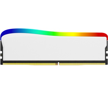Kingston Fury Beast RGB Special Edition KF436C17BWA/8