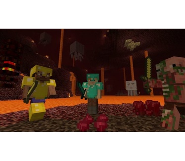 Minecraft: Wii U Edition