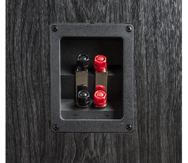 Polk Audio S55