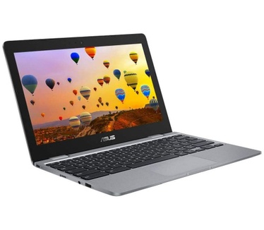 Asus Chromebook 12 C223NA-GJ0014
