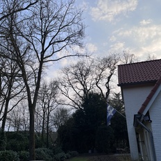 Afbeeldingslocatie: https://tweakers.net/i/465S1bgbsfq2YsvYRmA1tisMmwY=/232x232/filters:strip_icc():strip_exif()/f/image/9nH7CiAwaqNSdOvDoXZqh0LJ.jpg?f=fotoalbum_tile