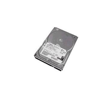 IBM 300GB Hot Swap 15K SAS HDD