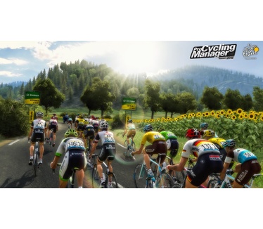 Pro Cycling Manager 2018: Tour de France, Windows