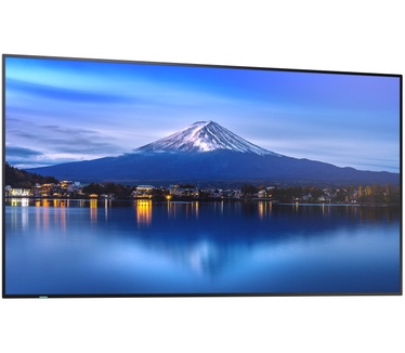 Sharp MultiSync P656