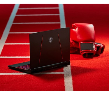 MSI GE65 9SE-072PL Raider