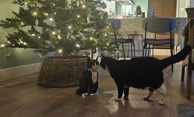 Afbeeldingslocatie: https://tweakers.net/i/4EcJasECQOqm_S_NmTJp1YtOYQE=/800x/filters:strip_icc():strip_exif()/f/image/uNsUIYTrTWjV9rnKXRj1mCls.jpg?f=fotoalbum_large