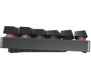 Cherry MX 8.2 TKL Wireless RGB