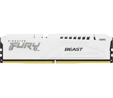 Kingston Beast White XMP
