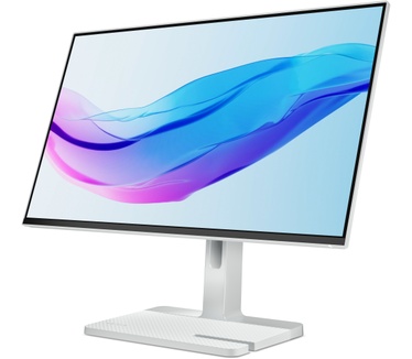 Lenovo L24m-4A