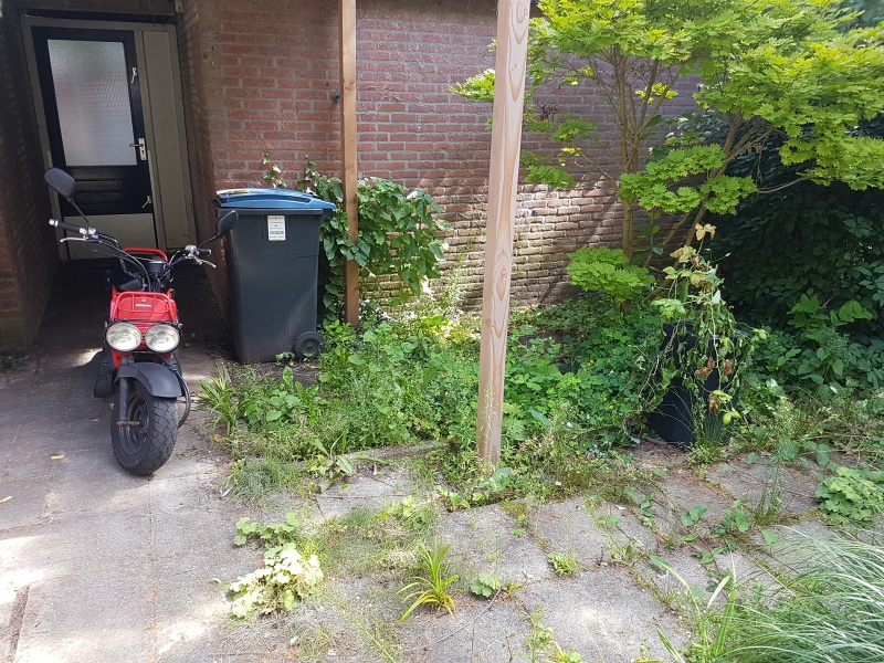 Afbeeldingslocatie: https://tweakers.net/i/4IvJMvOt_weaM1no72lv-NIDZfE=/800x/filters:strip_icc():strip_exif()/f/image/Ormv7t9XDYQWQbrYNZz3Scho.jpg?f=fotoalbum_large