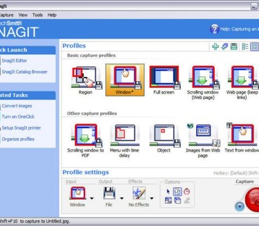 SnagIt 8.2.0 screenshot (resized)