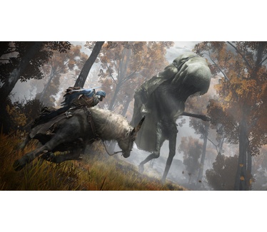 Elden Ring Collector's Edition