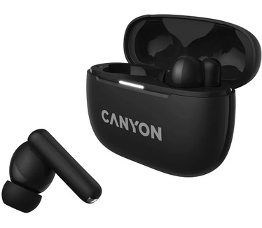 Canyon CNS-TWS10B
