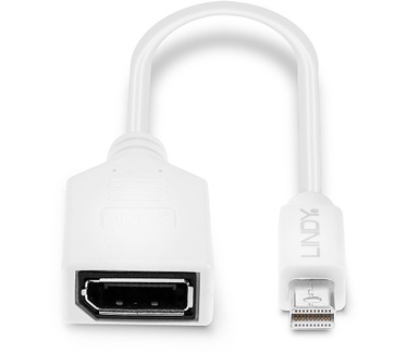 Lindy Kabel / Adapter Wit
