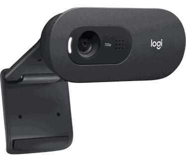 Logitech C505e webcam 1280 x 720 Pixels USB Zwart