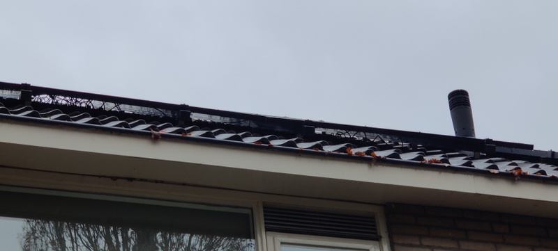 Afbeeldingslocatie: https://tweakers.net/i/4Sw1KfgdEnEs3qVKgiVDdcTGsYU=/800x/filters:strip_icc():strip_exif()/f/image/sPXtunf9PpHWQJwB7vwXZyA0.jpg?f=fotoalbum_large