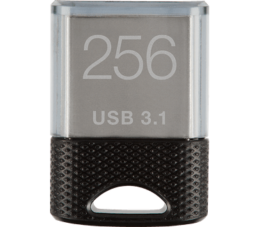 PNY Elite-X Fit USB 3.1 256GB Zilver