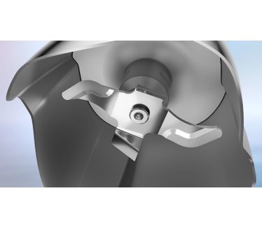 Bosch MSM6M810