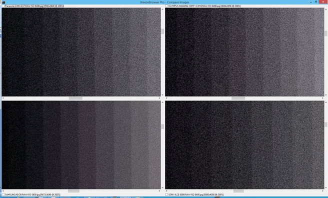 RAW 6400