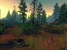 Review Firewatch