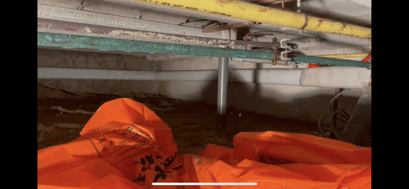 Afbeeldingslocatie: https://tweakers.net/i/4YILTcw2QHthTemSuNoigY24PBY=/800x/filters:strip_exif()/f/image/MhpoBBXFxtRE8edOyGomyUOv.png?f=fotoalbum_large